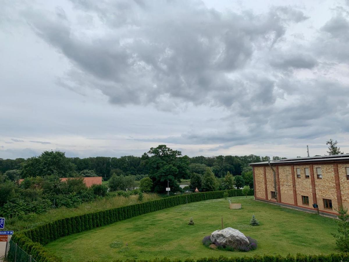 Ferienwohnung Zur Dexter-Zucht Coswig Coswig  Dış mekan fotoğraf